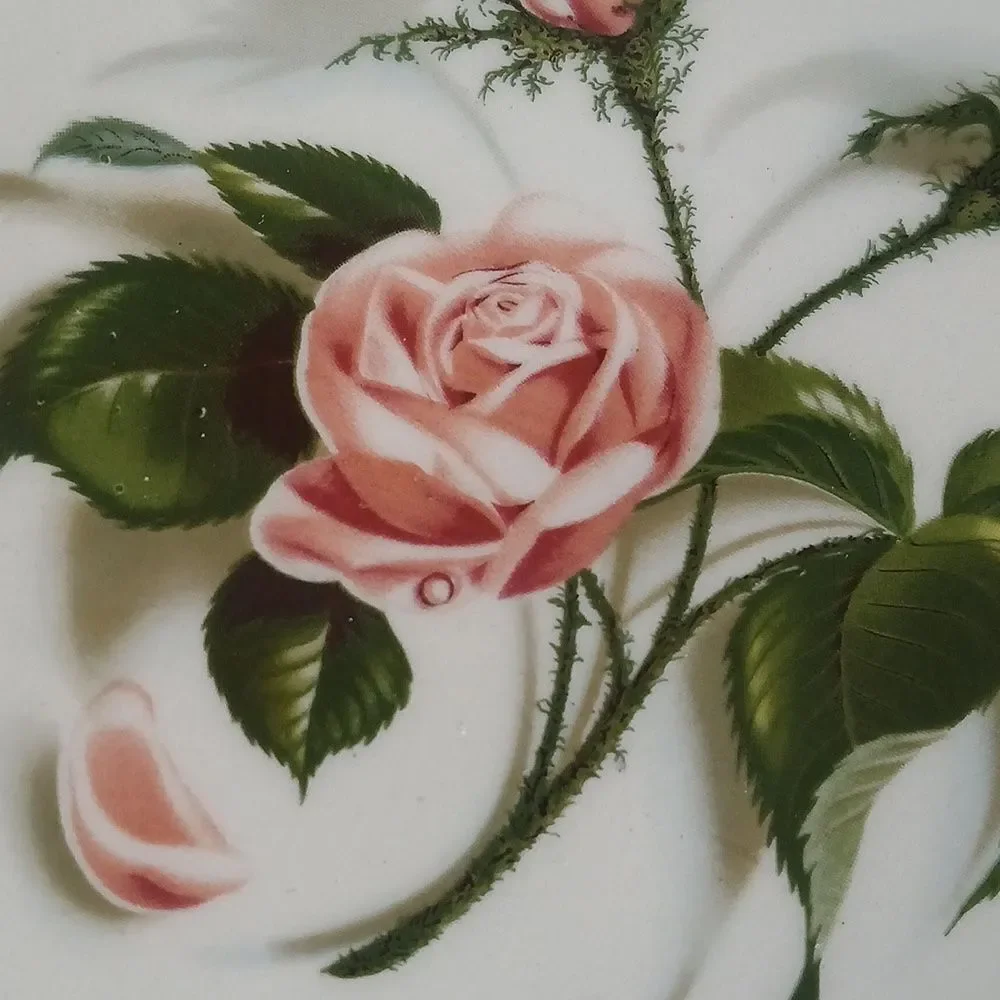 Set of 2 Vintage 50's Universal Ballerina Moss Rose 7